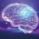 상담심리학 이미지