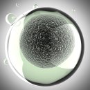 진화건강원 | 간경화 초기증상 3가지 사례