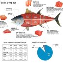 감동참치 이미지
