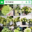 아들의 친구 생일파티로 간 정규반 3주차 예쁜 그린 카네이션 컵케이크 수업