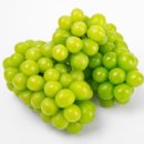 체리레몬비 이미지