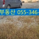 주소영공인중개사사무소 이미지