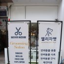 엘리자펫 | 대전 애견용품 샵 엘리자펫 없는 게 없는 곳