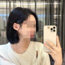 프랑크프로보 강남점