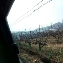 오산2리 이미지