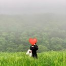 웅천읍 노천리534-1 | 보령 웅천체육공원 청보리밭 유채꽃밭 안개낀날 다녀온 후기