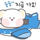 쭈꾸미도사광주 이미지