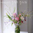 남현동-31 | 남현동꽃집 제이너리 플랜트 플라워 가격 위치 영업시간