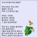 국수나무 티스토리