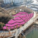 철쭉동산 이미지