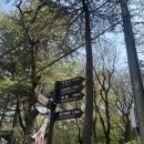 대명동 강아지 | 대구 앞산 등산코스 후기 / 대명동에서 출발한 힐링 등산길