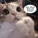 무의지소 공영주차장(추가) | [대전맛집] 한번 가면 단골이 되어버리는 대전 참치 맛집 참치어화 다찌석 후기