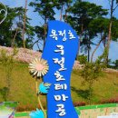 ♣전라북도정읍국화축제 10월 15일 수학여행 청암 ♣ 950 (3) 2 이미지