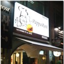 카멜리아 이미지