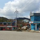 지에스25소양벚꽃로점 이미지
