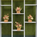 서울숭인초등학교 이미지