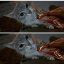 비안버스정류장 화장실 | [제주도여행] 제주도여행 A부터 Z까지 (1)