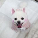 꽃개미용실 이미지