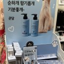 원애견샵 | 하남 스타필드 애견동반_몰리스펫샵 방문 후기(9만원💸)