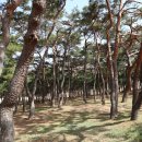 하회식당 - 안동시 병산길 362 | 하회식당