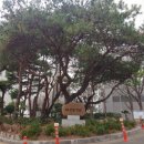 안창약수터 이미지