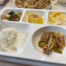 쓰임 | 집밥 플레이팅 쓰임 에센셜 데일리 도자식판 후기 | 내돈내산 다이어트 식판 추천