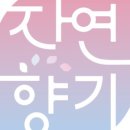 향기3로 이미지