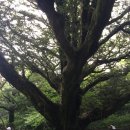 울림문화공간 이미지