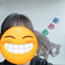 디그레이브 이미지