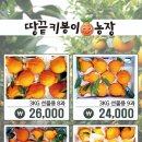 봉이농장 이미지