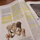 그린공간운동센터 수지구청점 이미지