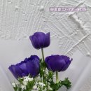 이촌어린이집 이미지