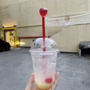 댕냥점빵 이미지