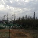 침산리 족구장 이미지