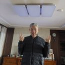 단정하개 이미지