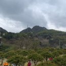 신기수목장 이미지