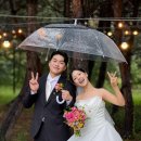 밀드플레 이미지