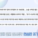 파주국제유치원 이미지