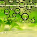 생태와 기후변화이야기 이미지