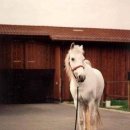 마린동물병원 이미지