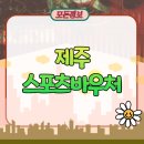 제주 스포츠바우처 장애인 강좌이용권 사용처 정리