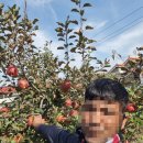 싱싱마트 대곶점 네이버블로그
