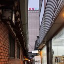 매콤빠삭 | 종로3가맛집 청모, 생일 모임하기 좋은 빠삭족발 후기