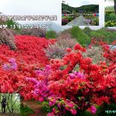 완산-163 이미지