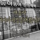 야옹아 멍멍해봐(봉명동) 이미지