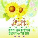 꽃그늘 이미지