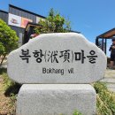 맹종죽테마파크1 티스토리