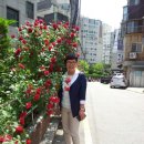 Soft Love Songs for Sleep 2026 🌙 Relaxing Romantic Ballads for Deep Sleep 이미지