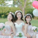 메이블라썸