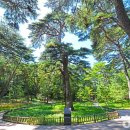 남면생활체육공원 족구장 | [강원도 영월군] 영월 청령포